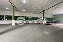Cho thuê kho xưởng 10.000m2 trong ccn liên minh, huyện đức hòa, tỉnh long an
