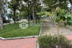 Kẹt tiền bán lỗ 400 triệu 2 lô góc trong khu dân cư tây lân bình tân