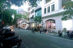 Mặt phố vip hàng chuối siêu vip bán 46m2 đất ô tô dừng đỗ suốt ngày đêm hai bà trưng