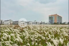 Btsl 180m2, áp góc cực đẹp, gần quảng trường công viên trung tâm 7ha dự án centa riverside từ sơn