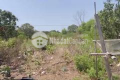 Bán đất bùi lâm, cần thạnh, cần giờ 16 x 64, giá 15 tỷ