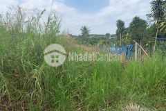 Bán đất mặt tiền đường nhựa, diện tích 1 sào, cách kcn dầu giây 2km, giá 2.2 tỷ