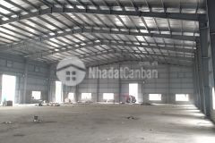 Cho thuê kho, xưởng tại kcn phú nghĩa chương mỹ giá tốt