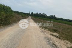 Đất 52m đường lê đức thọ 3 sào 1,2 tỷ tân bình, tx lagi bình thuận