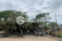 Đất đường nguyễn minh châu 13x43 3,25 tỷ xã tân tiến, tx lagi bình thuận