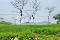 Đất nền mộc châu trung tâm xã tân lập gần các khu dịch vụ trường học