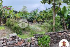 Cần bán gấp 53,1m2 hà phong liên hà đông anh ô tô tránh giá 27trm2, 0888481126.