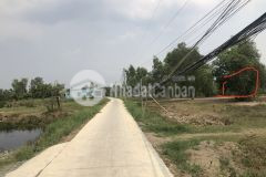 Cân ban 1490m2 đât nông nghiêp, xa tân tâp cân giuôc, gia 1 ty tl