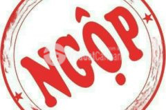 Giá rẻ bán nhà 2 mt đường lý tự trọng, quận hải châu, đà nẵng. 3 tầng, 100m2 giá 14 tỷ có tl