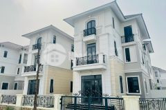 Chung tôi cân ban biêt thư liên kê va đơn lâp