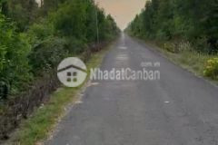 2,7ha hl40,tân hoà đông,tân phước,tiền giang