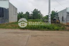 Bán gấp đất thổ đường lộ 3,5m. tân quý tây bình chánh 17 triệum2.