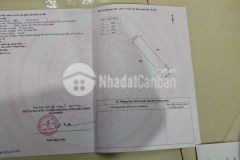 Còn 1 lô duy nhất giá sập sàn tại quỳnh hoàng, quỳnh phụ, thái bình. 100m2 x mt5m