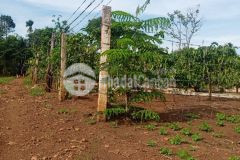 Bán đất giá đầu tư xã cưewi huyện cư kuin tỉnh đắc lắc chỉ với 169 triệulô