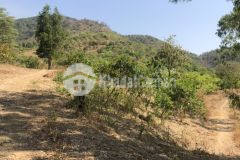 4 mẫu 3,6 tỷ kp 2 tt tân nghĩa hàm tân bình thuận ngợp nhất hiện nay