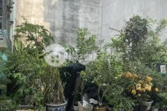 Bán 40m2 đất thổ cư huyện nhà bè, đồng sở hữu, chỉ 1.75 tỷ. lh0986206626.