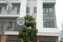 12 điểm tinh tuý thiên địa nhân. shophouse góc vườn hoa kđt vsip, tp từ sơn, bắc ninh