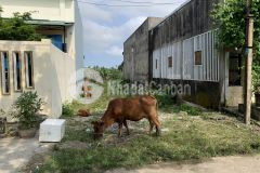 Lô đất kdc trường xuân, tam kỳ 120m2 1,1 tỷ