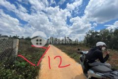 Cuôr đăng 2 lô lk giá tốt hẻm cấp 1, đường bê tông cách ql chưa đầy 200m khu dân cư, đất bằng