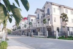 Cần bán gấp căn biệt thự song lập