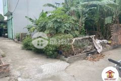 Bán gấp 43,2m2 cổ dương tiên dương đông anh hà nội để ở sướng giá 5xtrm2, 0888481126.