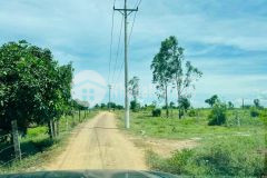 Bán hơn 2hec đất trồng cây hồng liêm, sổ sẵn, có đường, giá rẻ chỉ 150km2, lh 0937251240