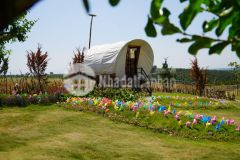 An tâm đầu tư sinh lời bền vững tại đà lạt thứ 2 đồi hoa gió giá chỉ 3,2 trm2