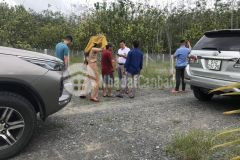 Bán gấp lô đất gò dầu tây ninh, 5x28m, thổ cư hết đất