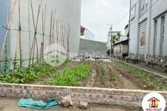 Chủ cần bán gấp 63,2m2 đường yên, xuân nộn đông anh mt4m lô góc ô tô tránh lh 0886923362.