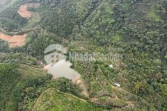 120ha đất rừng sản xuất tại lương sơn, giá công khai đi nhanh chỉ 200trha