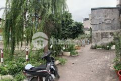 Siêu phẩm nhà phố không gian xanh giữa lòng trương định 42m2 3.6 tỷ