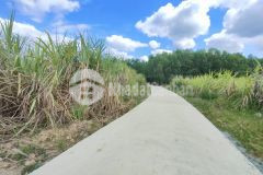 Bán 1,5 hecta đất khánh nam bám đường hơn 200m