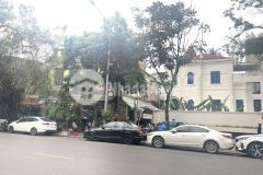 Cho thuê nhà biệt thự 500m² mặt phố hai bà trưng mặt tiền 20m. kinh doanh mọi loại hình. diện tíc