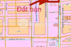 12.500m2 mặt tiền tỉnh lộ 867,thạnh mỹ,tân phước,tiền giang.