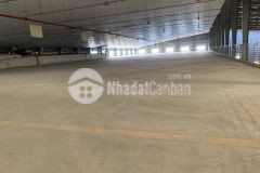 Cho thuê kho xưởng 11.000m2 trong khu công nghiệp hoàng gia, xã mỹ hạnh nam, huyện đức hòa