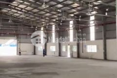 Kho bãi đường container, pccc tự động, gần ql1a quận 12 tphcm