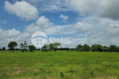 Bán đất trồng cây lâu gần safari hồng liêm giá chỉ từ 680 triệu, đầu tư đón đầu cao tốc.