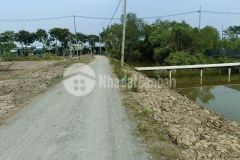 Bán đất đường lý nhơn, cần giờ 60 x 50 3000m, giá 6 tỷ