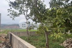 Đất nền mộc châu gần cầu kính 783m2 phun sổ chỉ việc sang tên