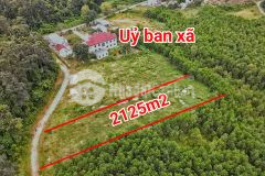 Bán đất khánh thượng giá rẻ ngay sau lưng ủy ban xã đường oto