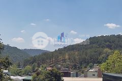 Đất hùng vương phường 9 đà lạt view đồi thông cực đẹp