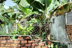 Bán đất đường y wang ngay trường đhtn p.eatam tp.buôn ma thuột chỉ với 1,15 tỷ