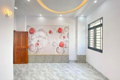 Chủ gửi nhà mới hoàn thiện 1 lầu, đường c5, khu dân cư phú an, cái răng, tp. cần thơ.