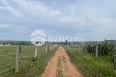 Bán 2200m2 chỉ 270 triệu, shr, gần ql1a, kdl safari, đón đầu cao tốc dầu giây phan thiết.