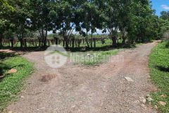 Bán lô đất 3 mặt tiền 12400m2 xã hồng liêm, gần kdl safari 3300ha,chỉ bán 190 triệu1000m2