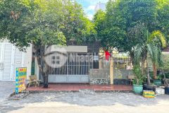 Hàng hiếm nhà mặt tiền đường số, p.tân quy, quận 7