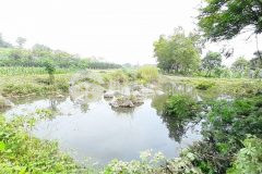 Đẹp như một khu nghỉ dưỡng vừa rộng vừa rẻ lại vừa đẹp