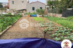 Bán 58m2 phù liễn bắc hồng đông anh phân lô nhỉnh 1 tỷ, 0886119248.