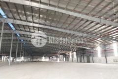 Chuyển nhượng đất hoặc cho thuê kho xưởng xây sẵn trong kcn cầu cảng phước đông, huyện cần đước