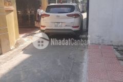 Cần bán nhanh 55m2 đất ngô xuân quảng, trâu quỳ, gia lâm ô tô con vào